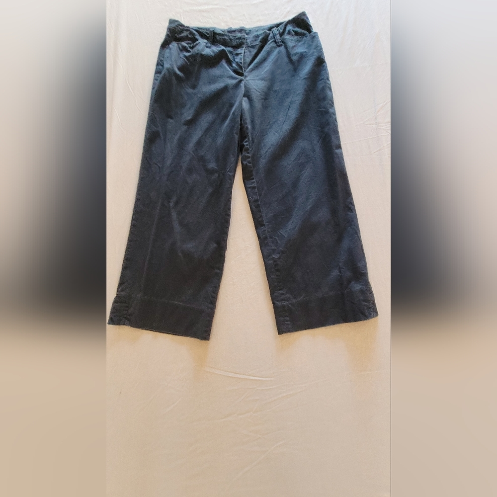 CAbi Capri, Dark Blue, Size 10